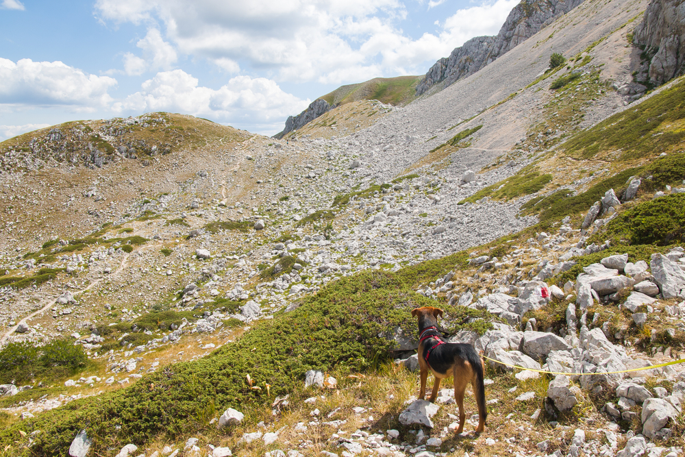 Vetta Sassetelli Wanderung Micigliano