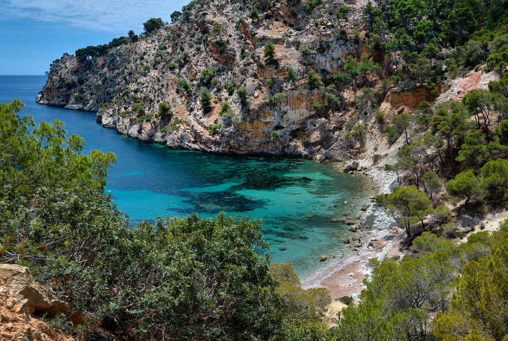 Cala Blanca Hundestrand