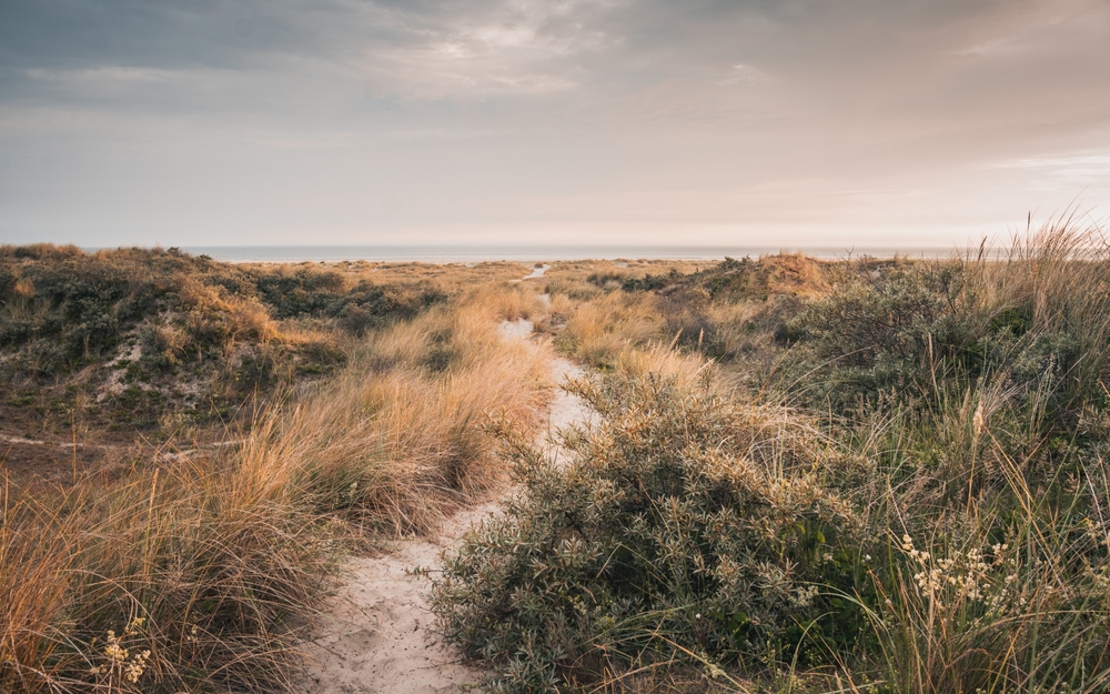 Nordsee nachhaltig reisen Juist