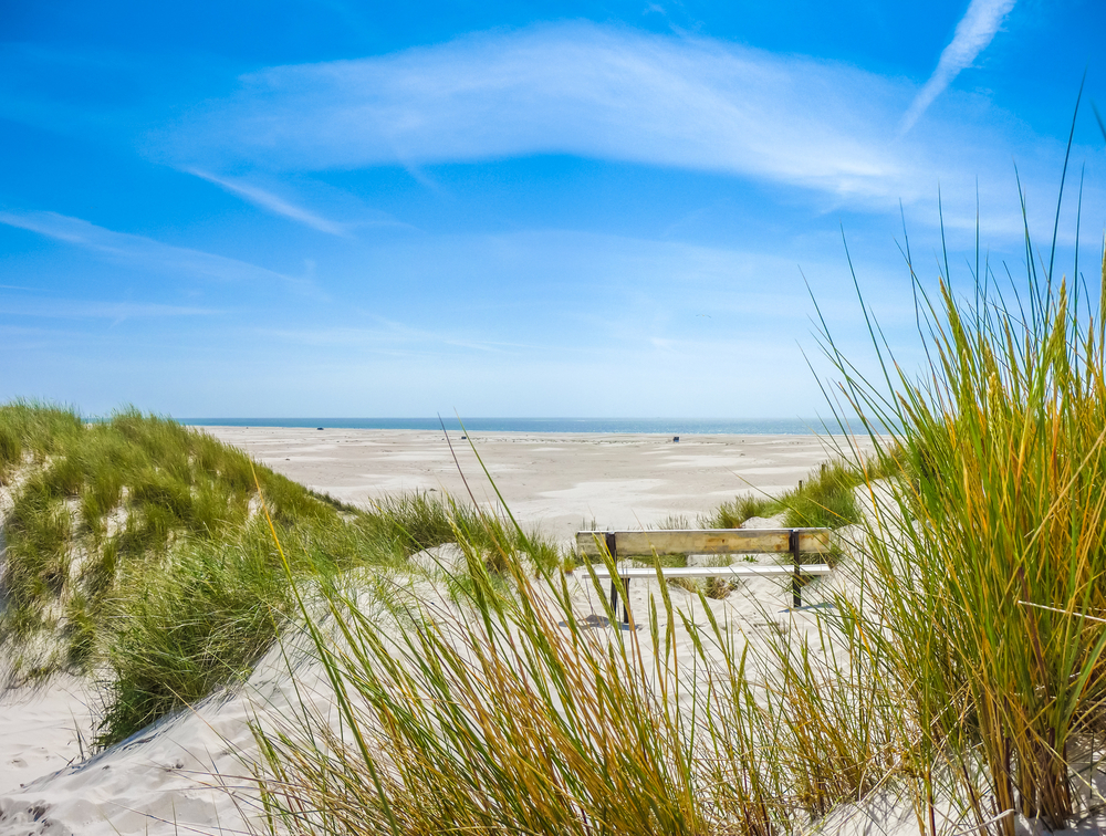 Hundestrand Amrum