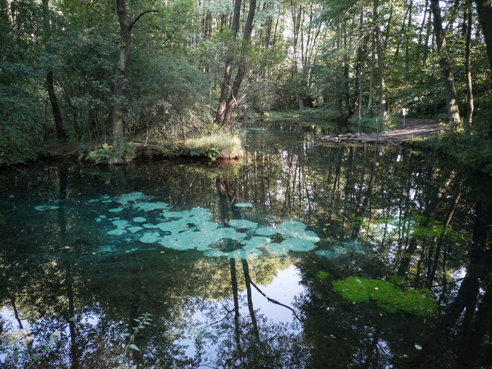 Blaue Quellen in Tomaszów Mazowiecki Polen