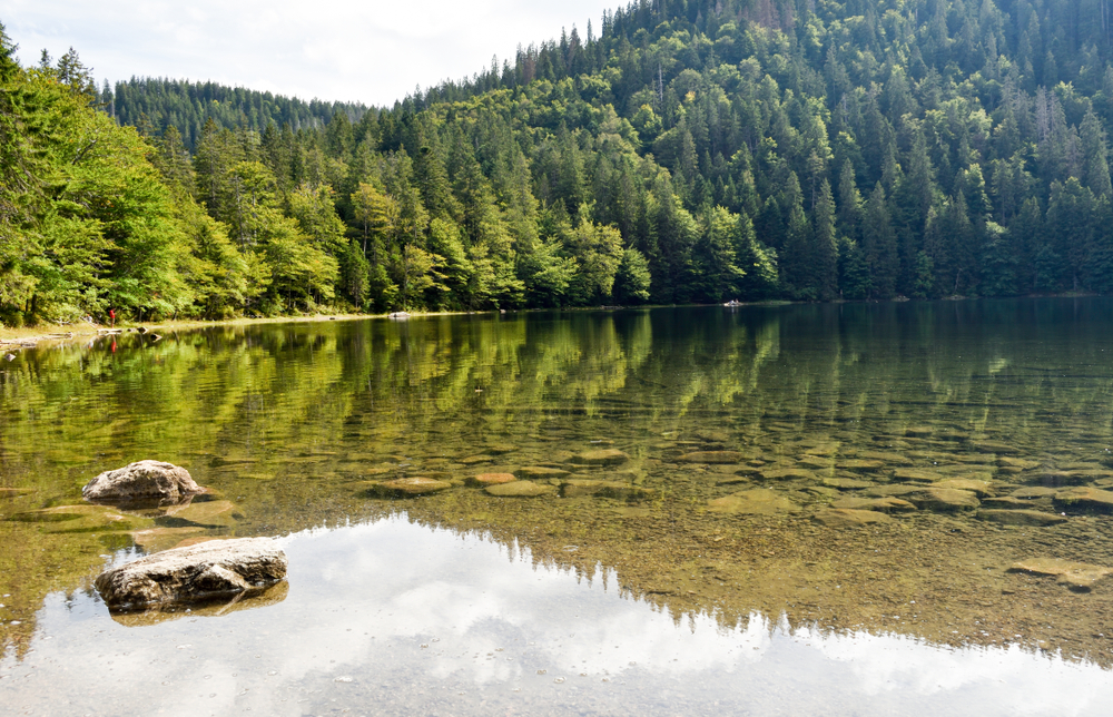 Feldsee im Schwarzwald