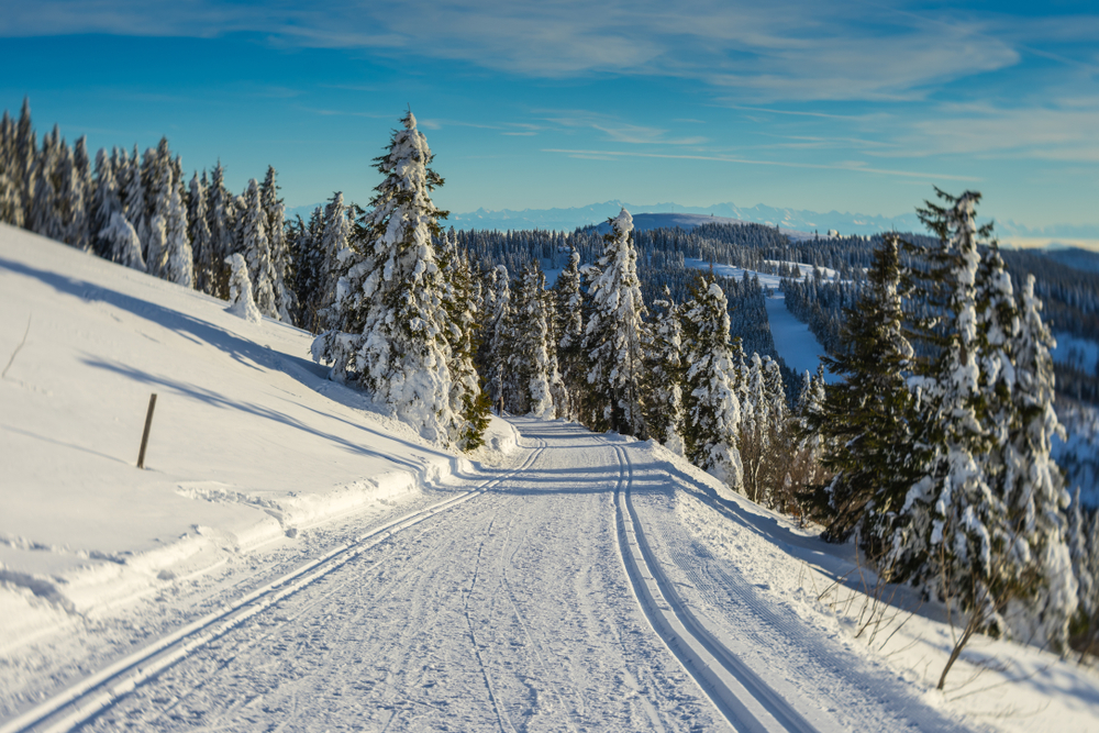 Langlauf Feldberg Loipe