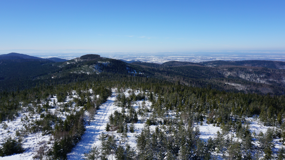 Langlauf Herrenwies Loipe