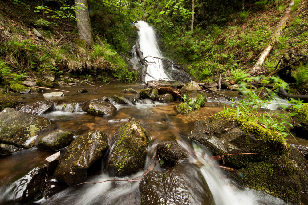 Todtmoos Trail
