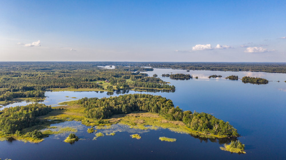Åsnen See