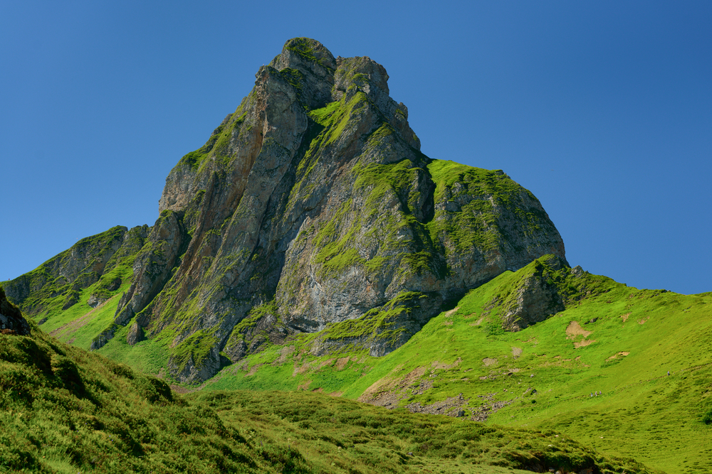 Wandern mit Hund Flumserberg