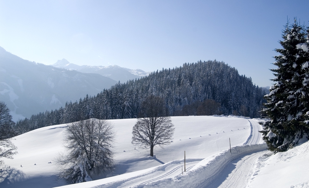 Langlauf Dachstein Loipen