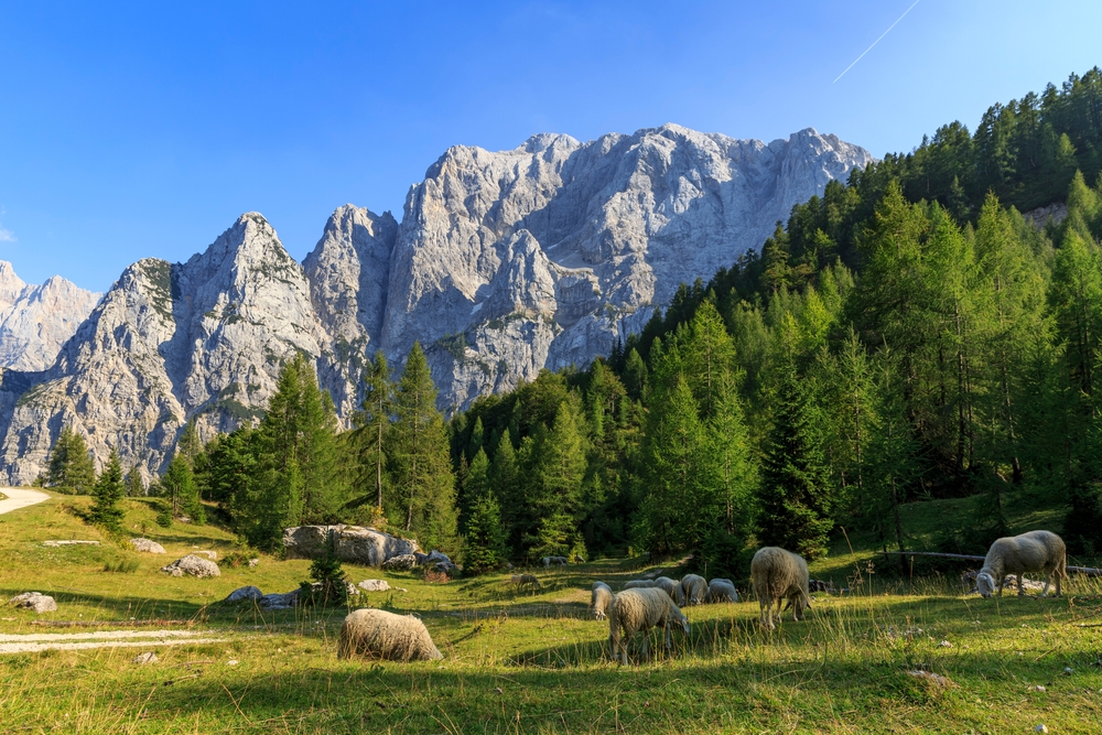 Vršič-Pass