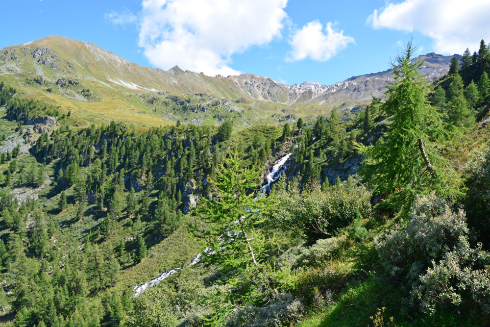Mountainbike Tour Roc d'Orzival