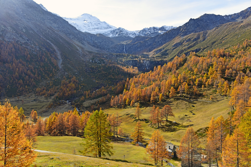 Wandern Wallis Simplon Pass