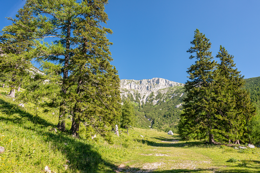 Wien wandern Rax