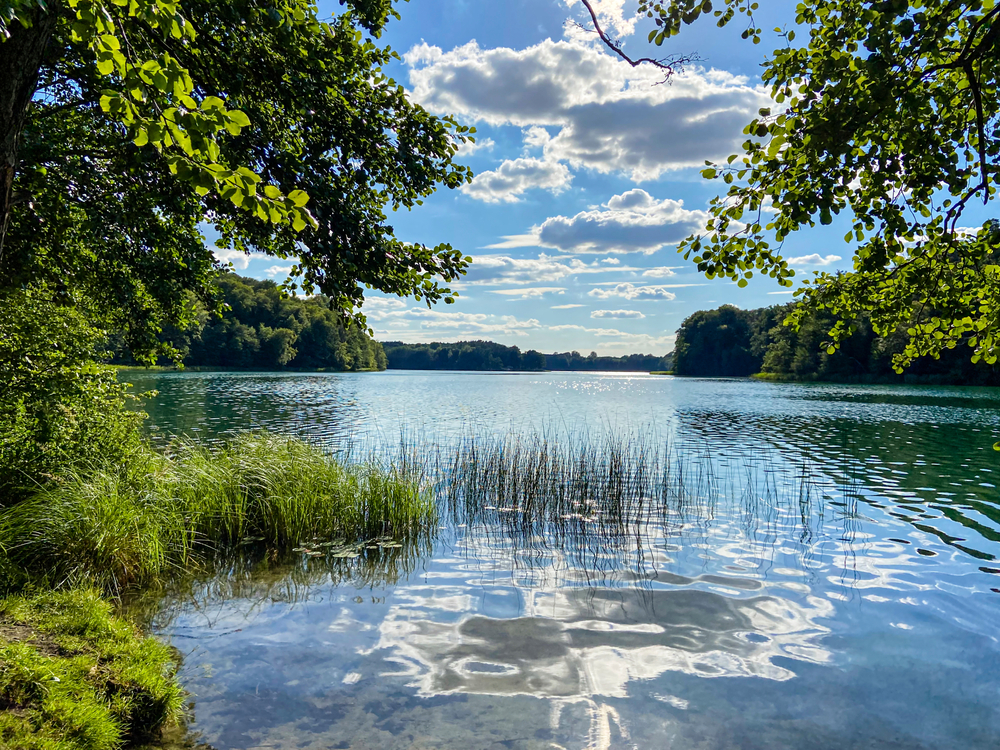 Liepnitzsee