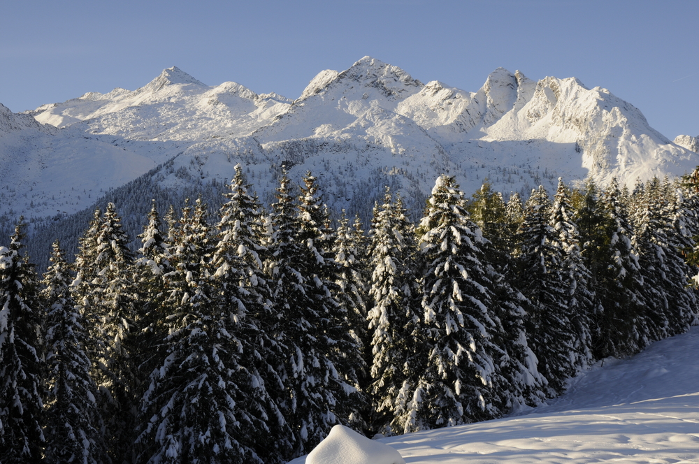 Langlauf Hochkrimml Loipe