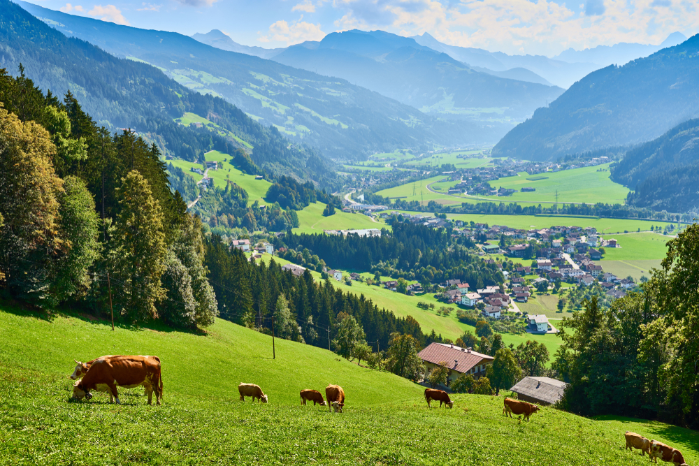 Zillertal Wandern Zellberg Kristallhütte